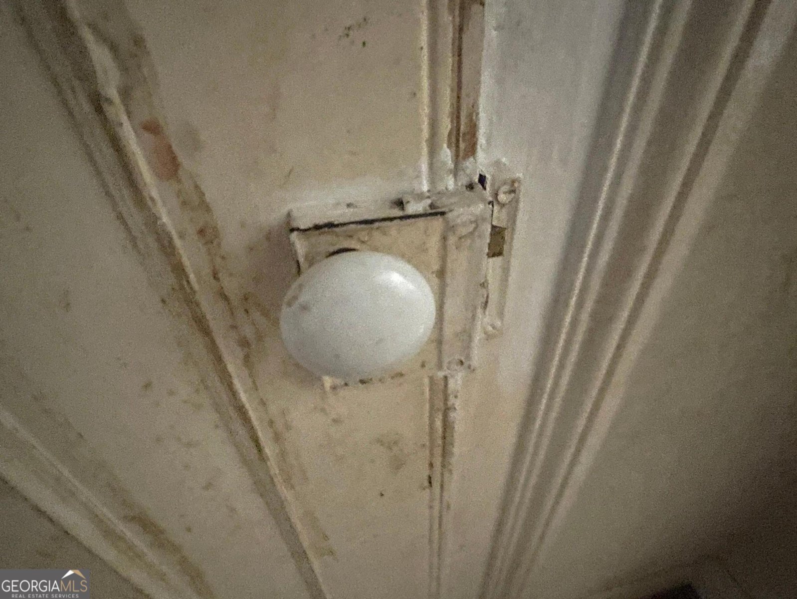 130 2nd Avenue Buena Vista - 17