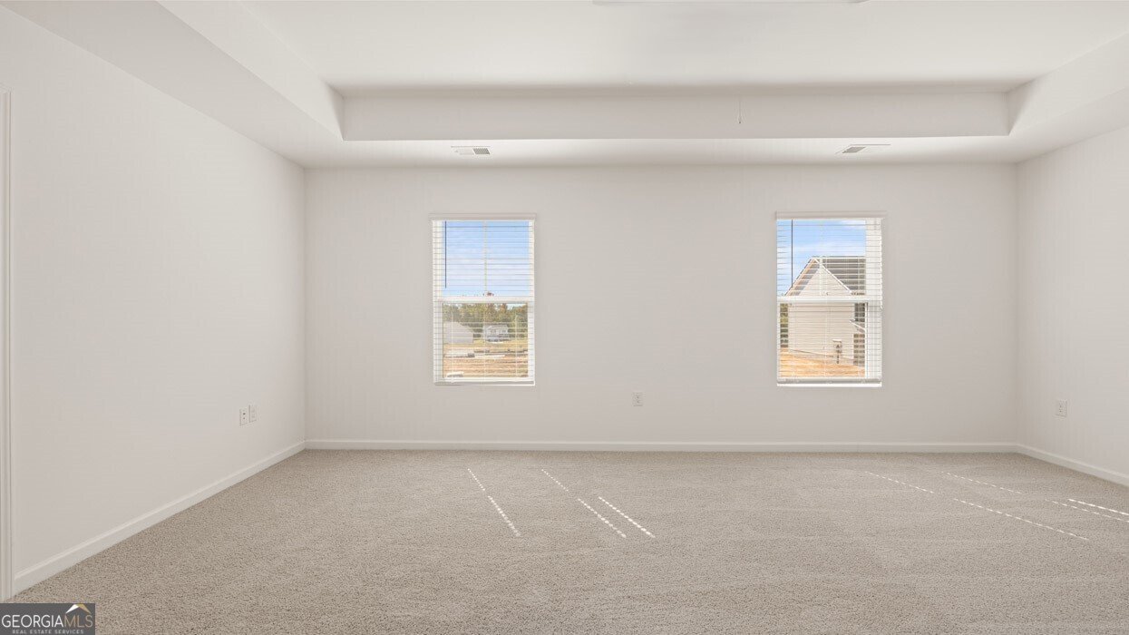 81 White Spruce Way Newnan - 19