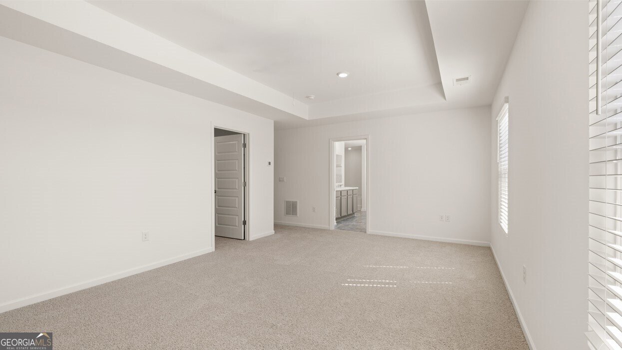 81 White Spruce Way Newnan - 20