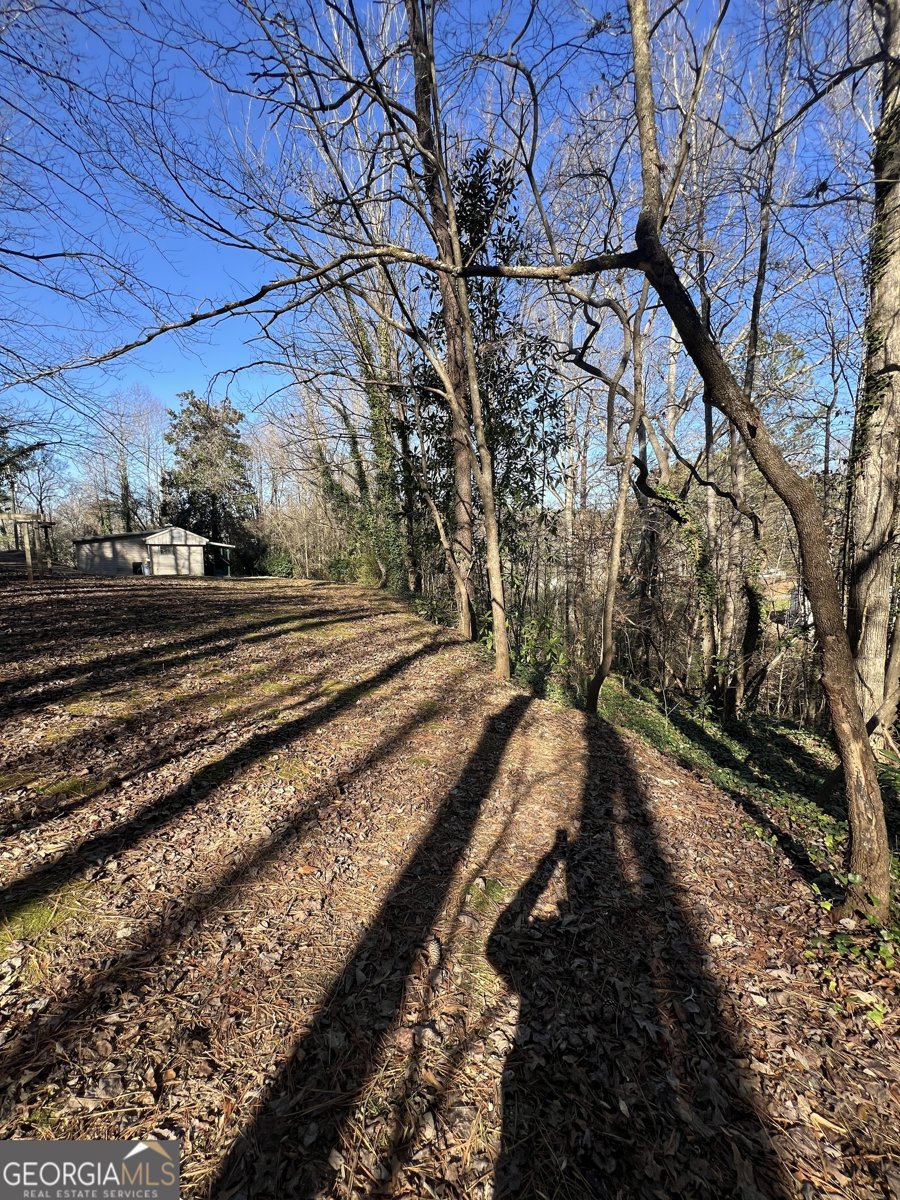 330 Purcell Free Drive Ball Ground - 13