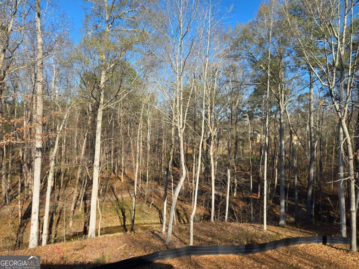 176 Paige Street Dallas - 34