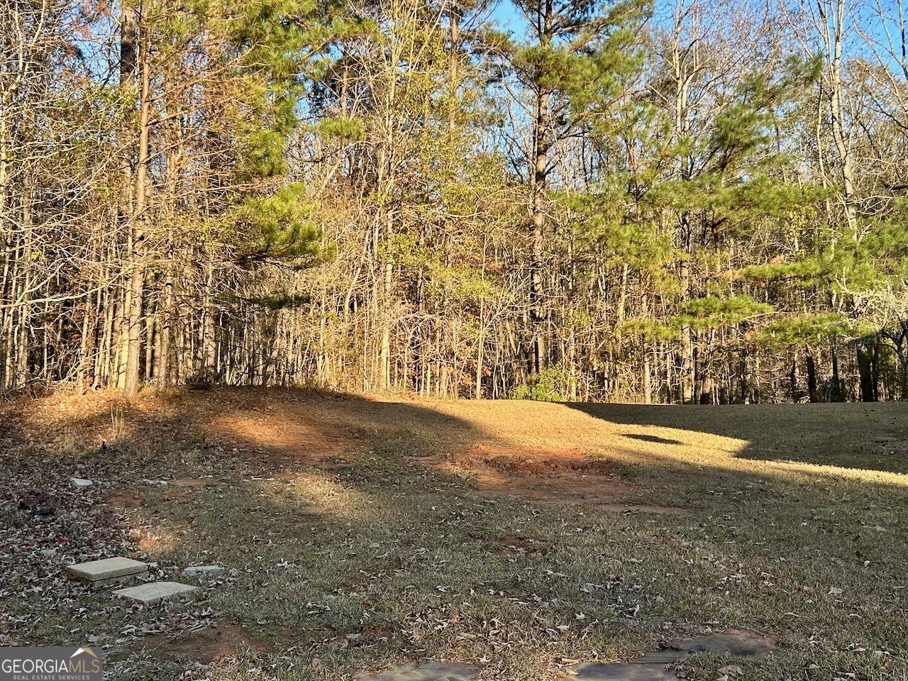 125 Montrose Way Lagrange - 31