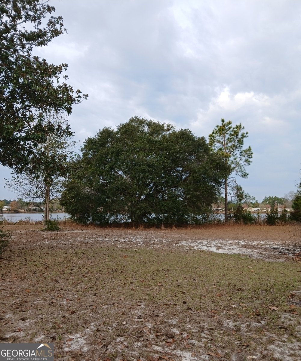 1654 (LOTS 43 ) Spring Lake Drive Folkston - Photo 8