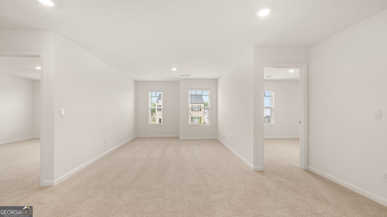 651 Whitman Lane Stockbridge - Photo 30