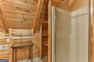 101 MOONSHINE MOUNTAIN Mineral Bluff - 21