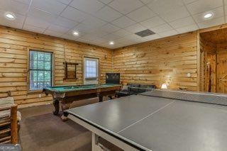 101 MOONSHINE MOUNTAIN Mineral Bluff - 24