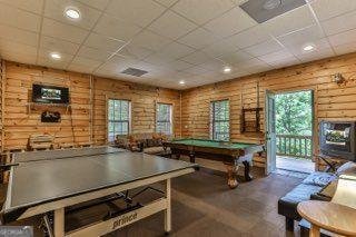 101 MOONSHINE MOUNTAIN Mineral Bluff - 25