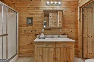 101 MOONSHINE MOUNTAIN Mineral Bluff - 26