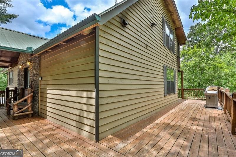 101 MOONSHINE MOUNTAIN Mineral Bluff - 3