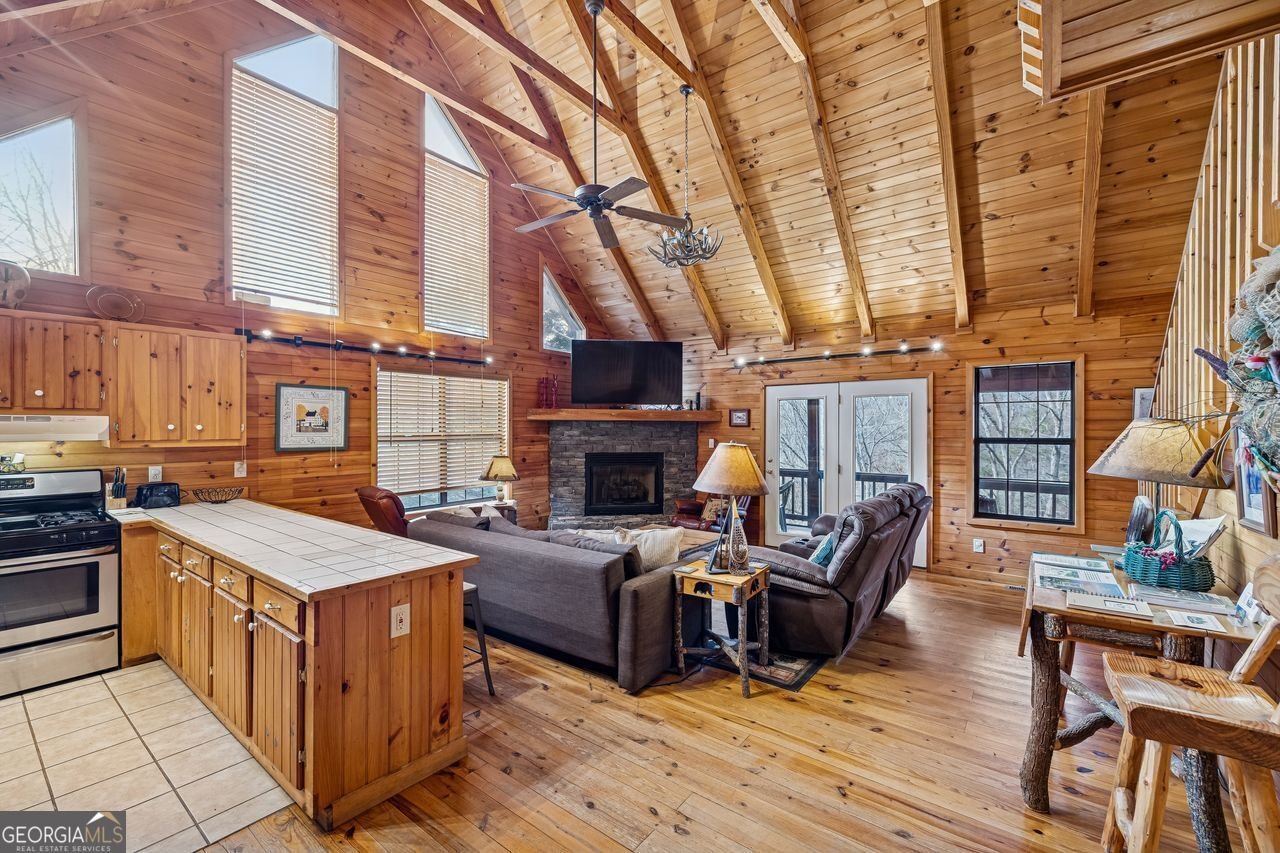 101 MOONSHINE MOUNTAIN Mineral Bluff - Photo 40