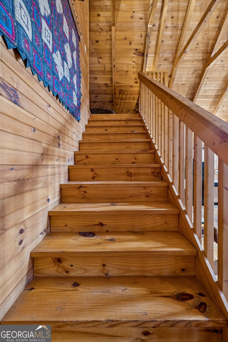 101 MOONSHINE MOUNTAIN Mineral Bluff - Photo 51