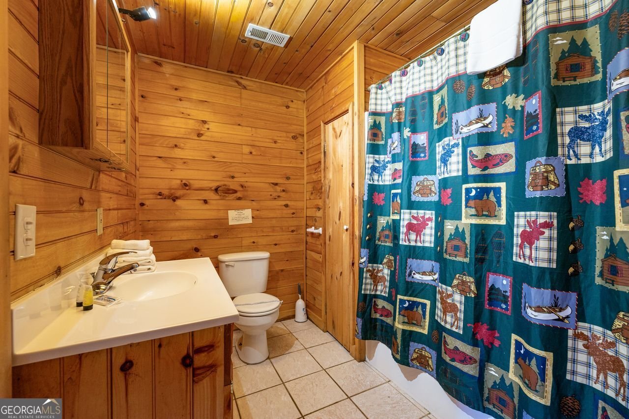 101 MOONSHINE MOUNTAIN Mineral Bluff - Photo 52