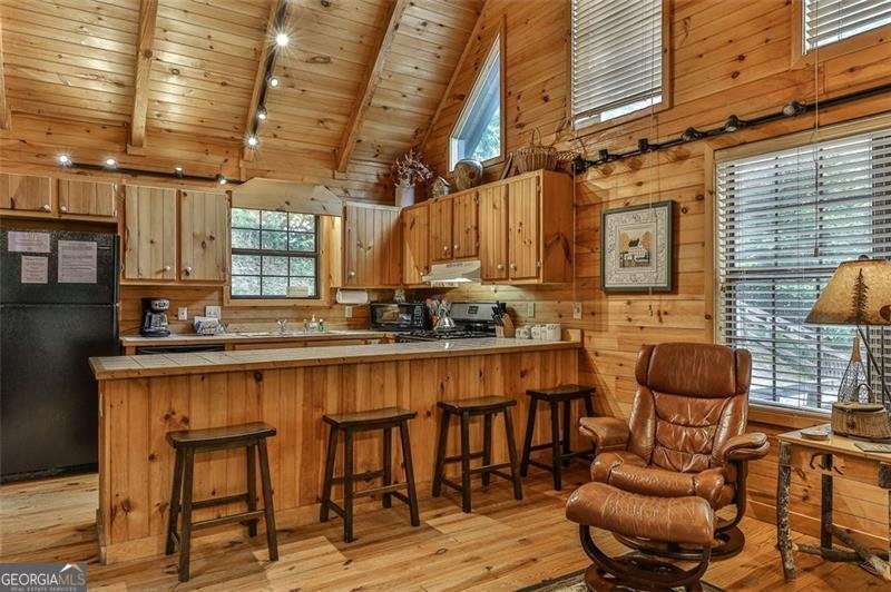 101 MOONSHINE MOUNTAIN Mineral Bluff - 6