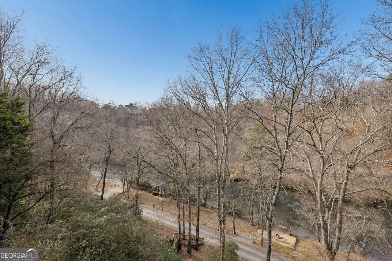 101 MOONSHINE MOUNTAIN Mineral Bluff - Photo 68