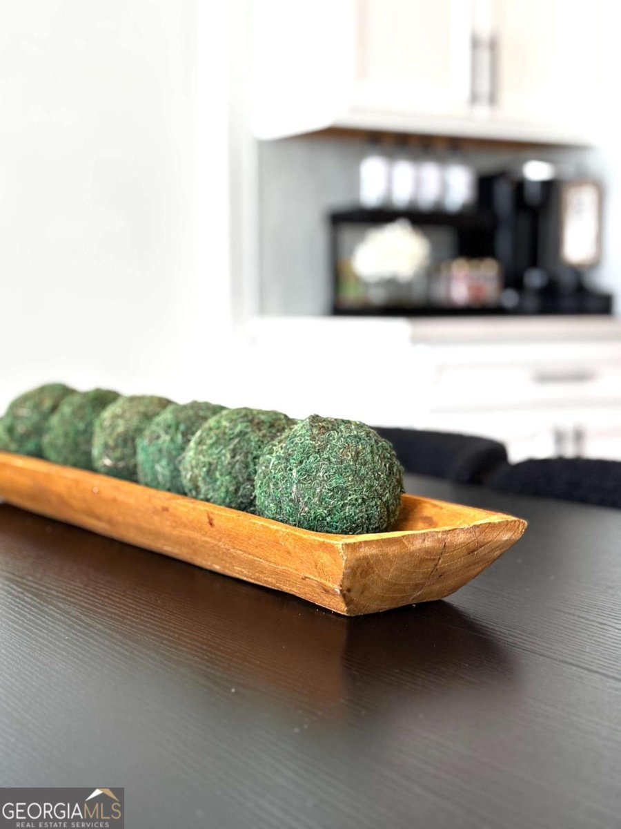 305 Meuse Lane Locust Grove - 12