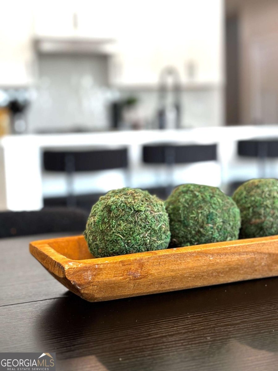 305 Meuse Lane Locust Grove - 17