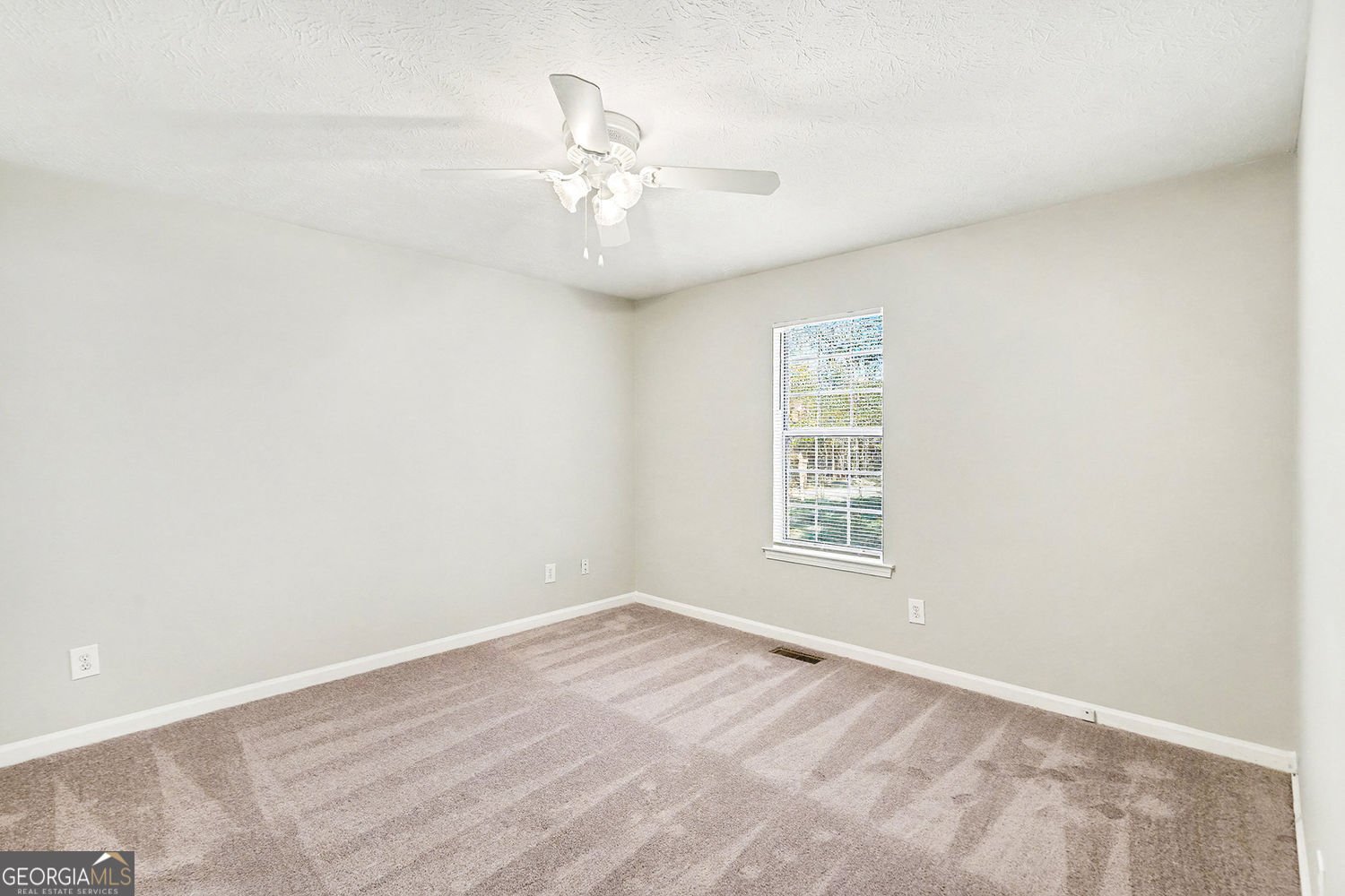 33 Peach Forest Place Douglasville - 12