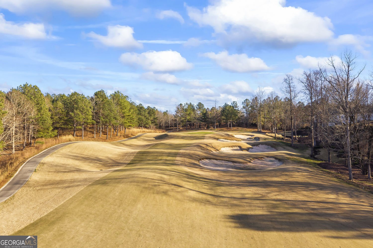 1308 Currahee Club Drive Toccoa - 9