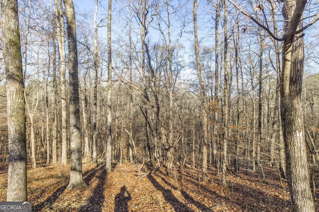 281 Back In The Woods Way Milledgeville - 29