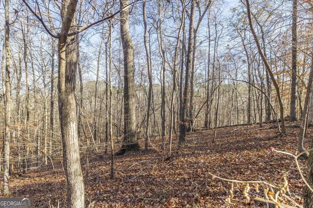 281 Back In The Woods Way Milledgeville - 30