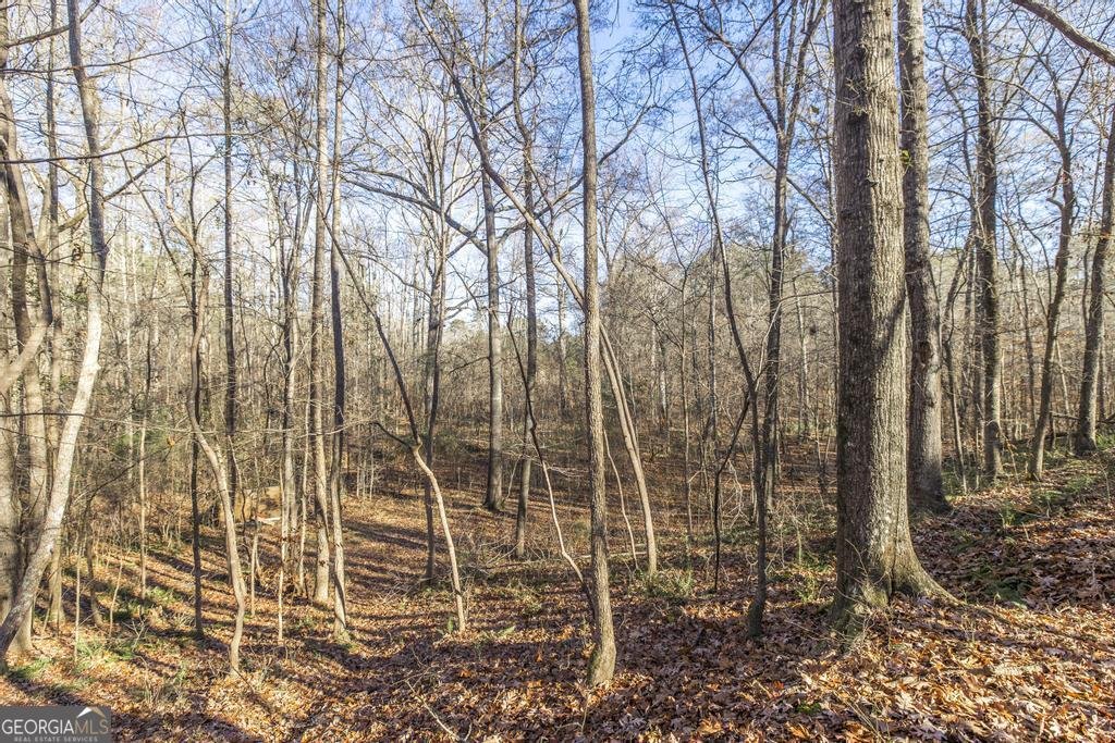 281 Back In The Woods Way Milledgeville - 31