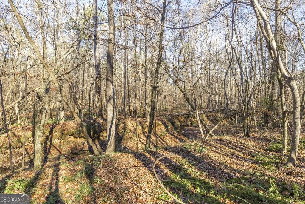 281 Back In The Woods Way Milledgeville - 32