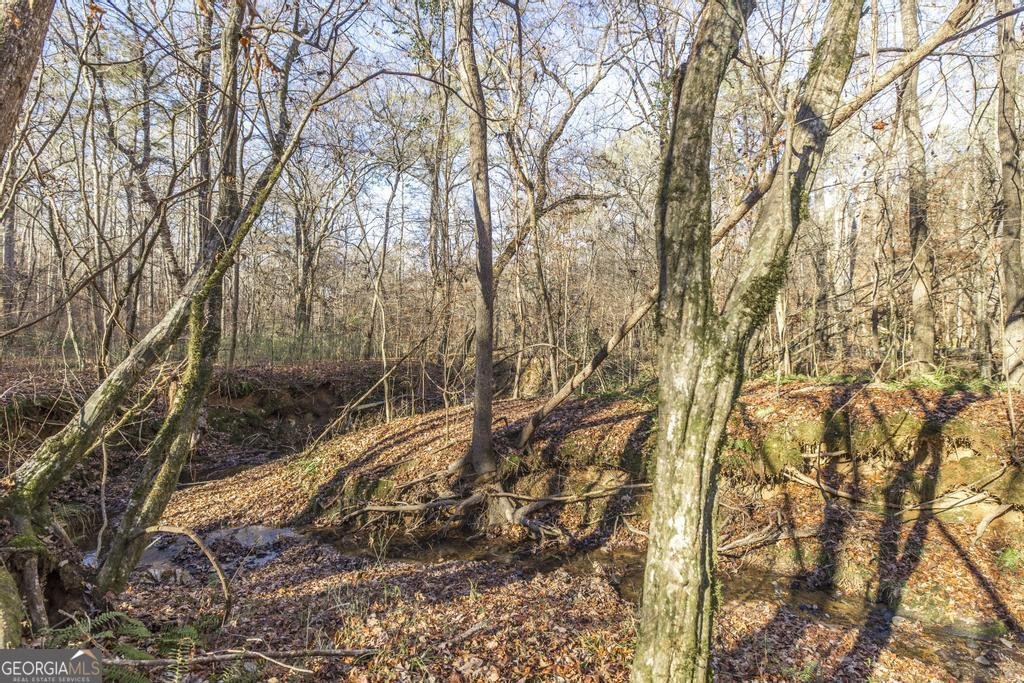 281 Back In The Woods Way Milledgeville - 33