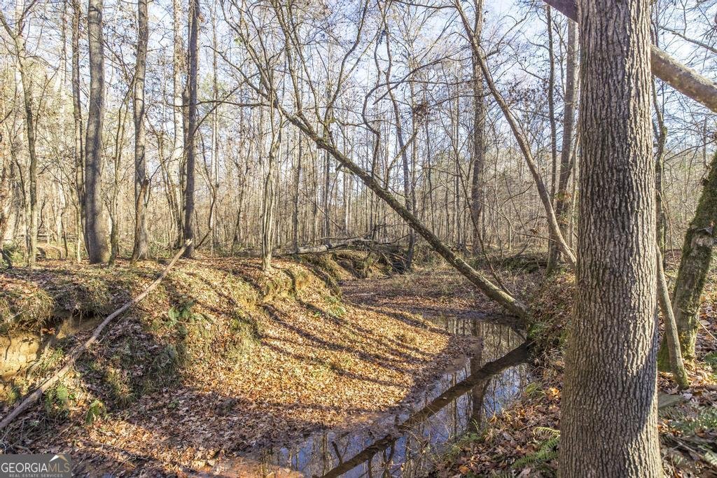 281 Back In The Woods Way Milledgeville - 34