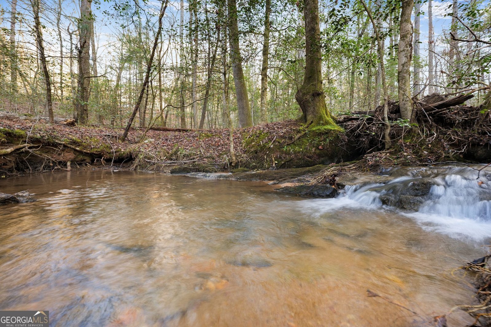 4541 Cavender Creek Road Dahlonega - 2