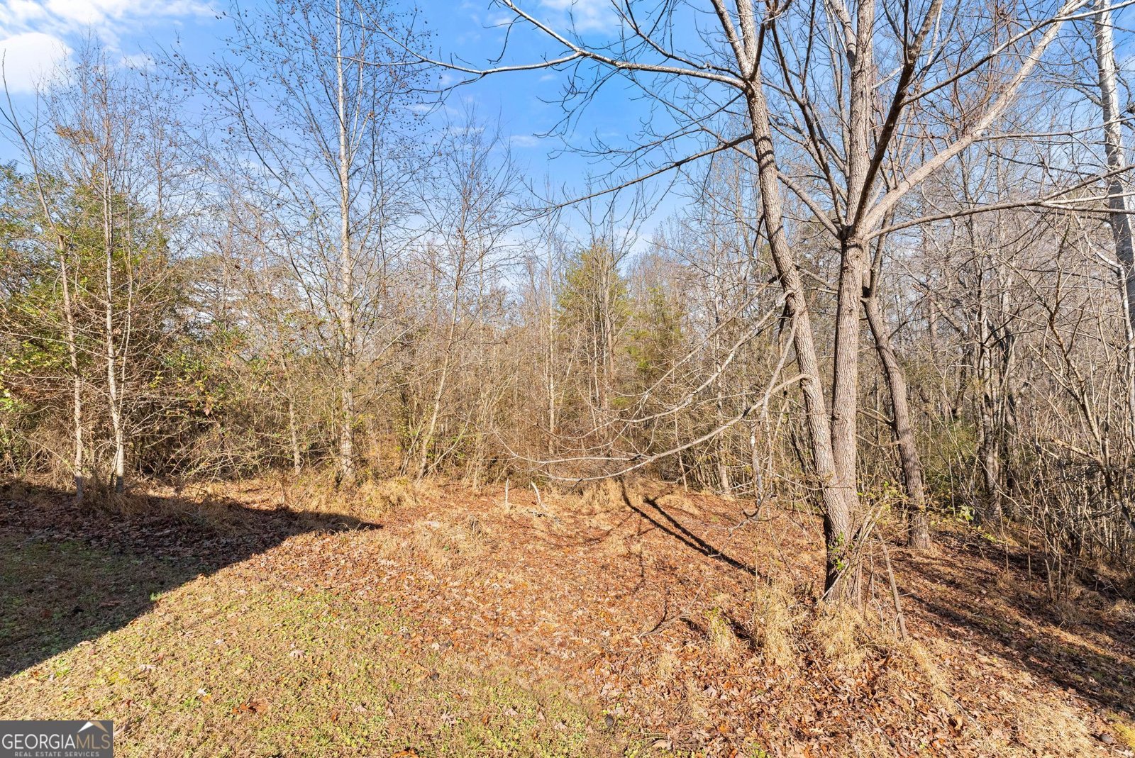 4541 Cavender Creek Road Dahlonega - 38