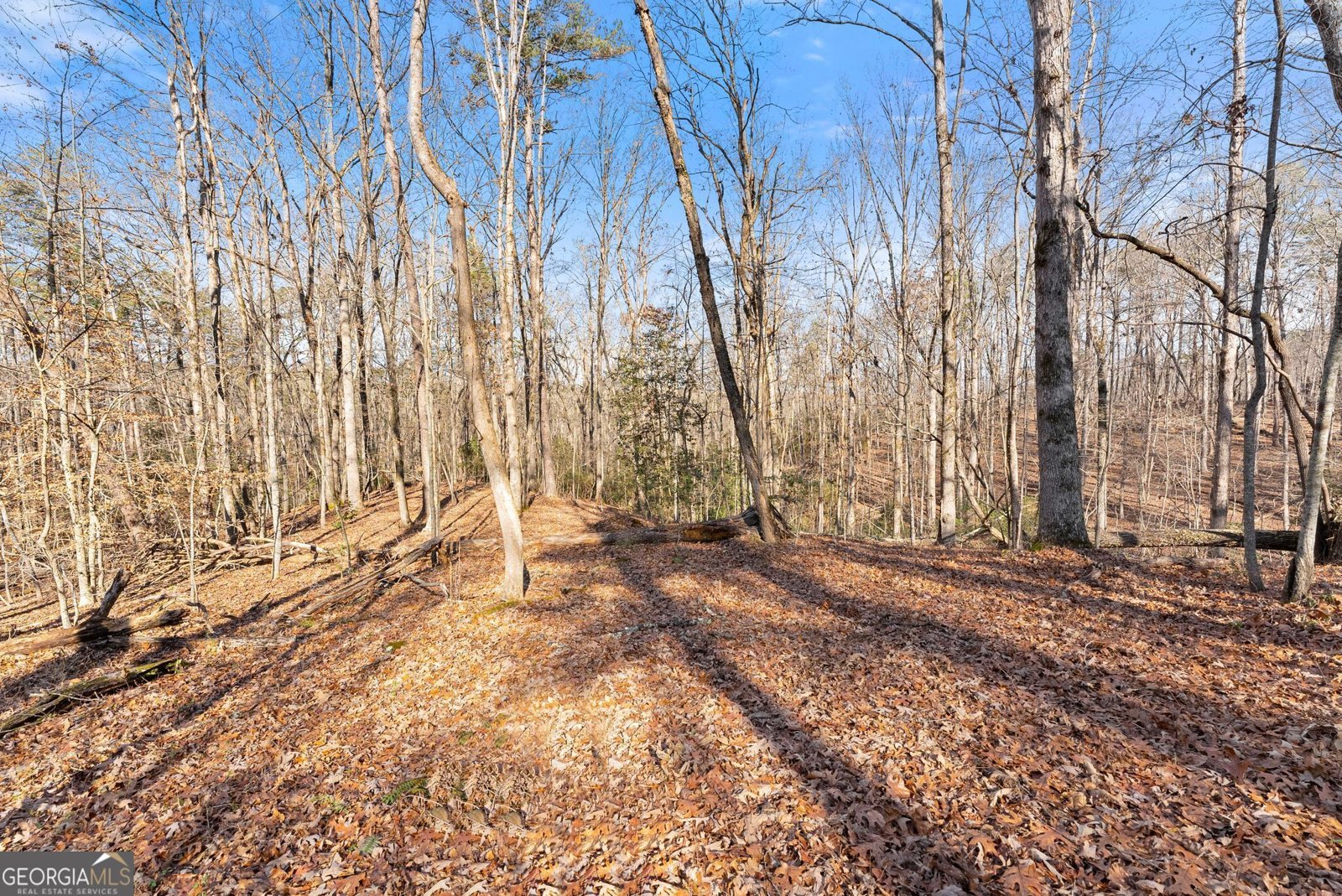 4541 Cavender Creek Road Dahlonega - 39