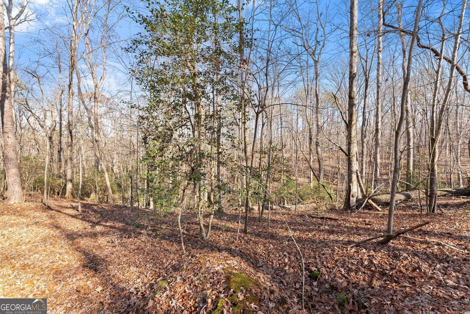 4541 Cavender Creek Road Dahlonega - 40