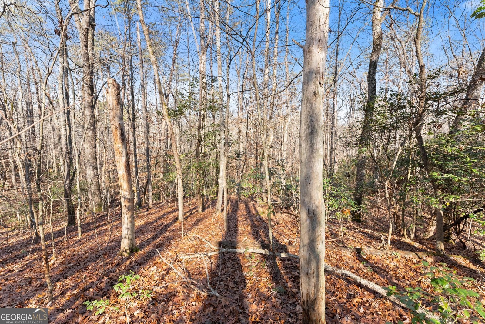 4541 Cavender Creek Road Dahlonega - 41