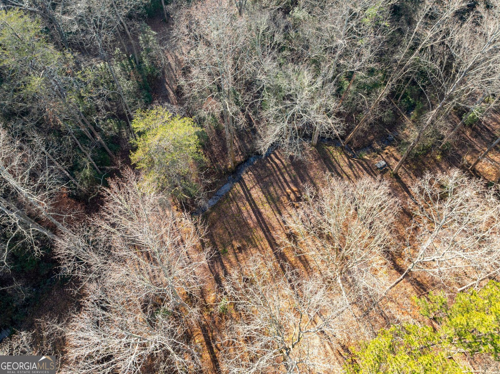 4541 Cavender Creek Road Dahlonega - 49