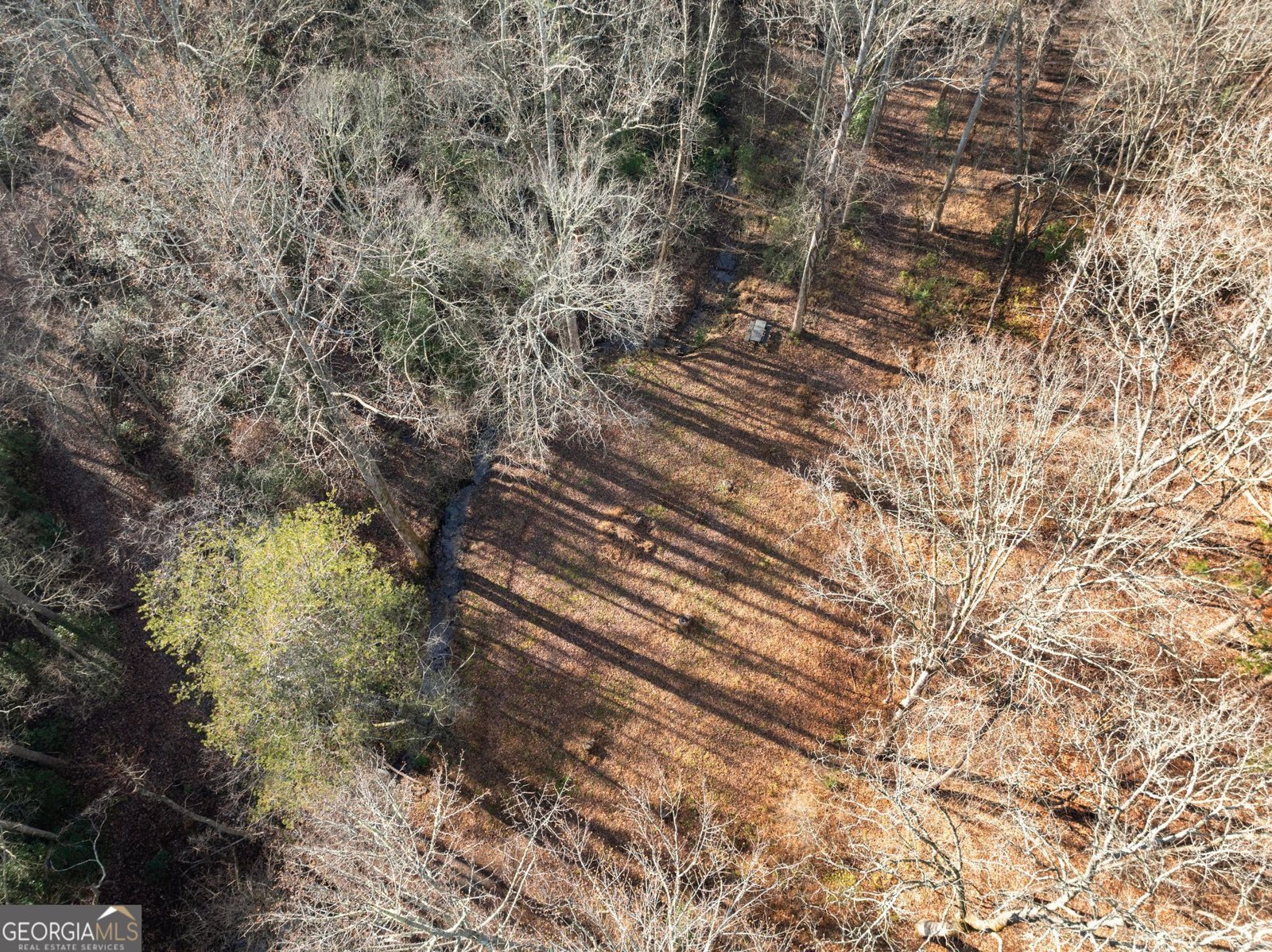 4541 Cavender Creek Road Dahlonega - 50