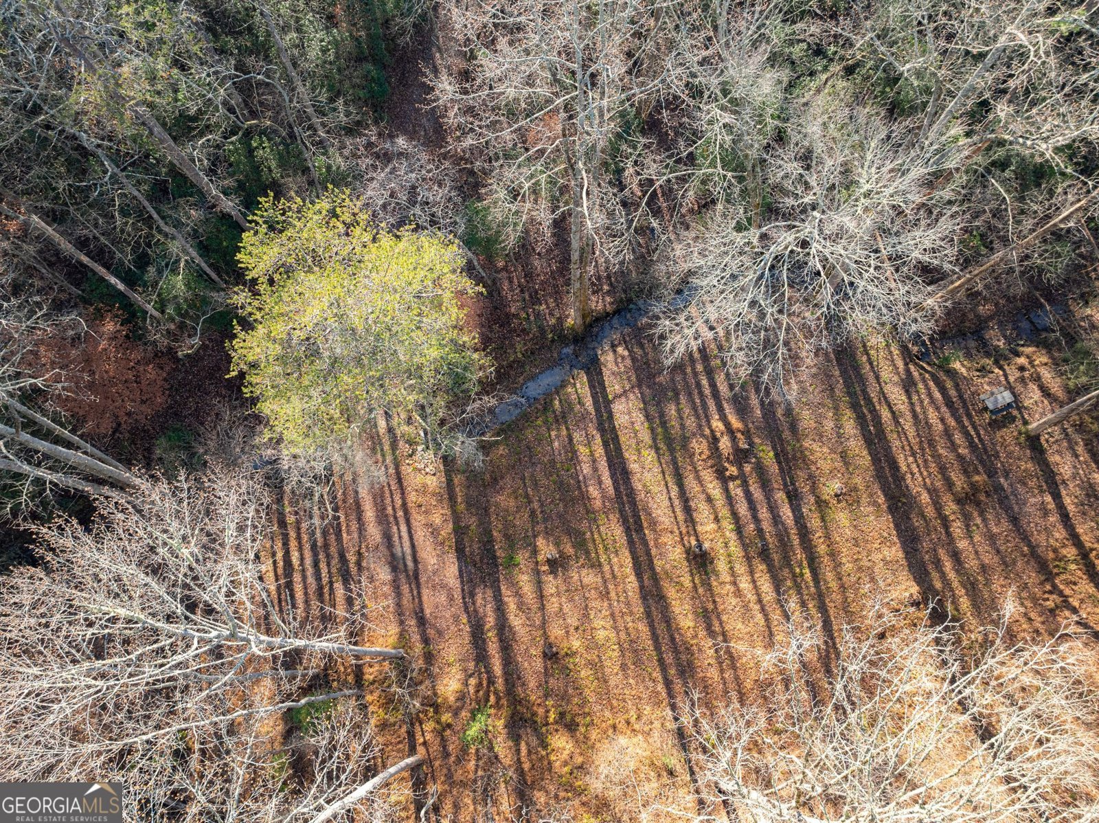 4541 Cavender Creek Road Dahlonega - 51