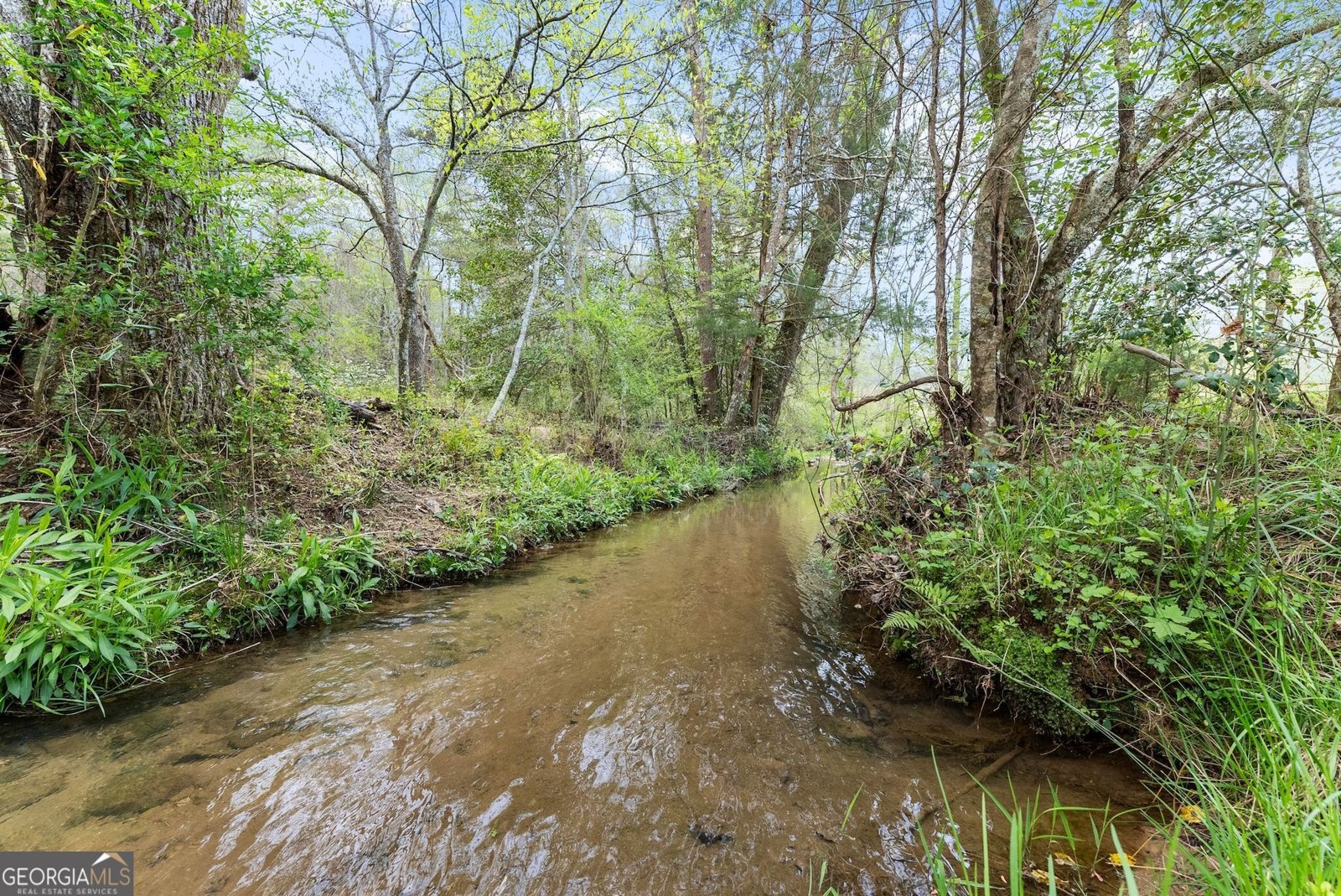 4541 Cavender Creek Road Dahlonega - 52