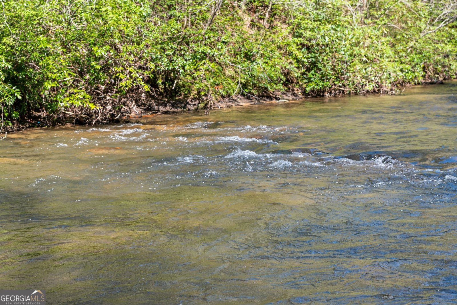 4541 Cavender Creek Road Dahlonega - 53