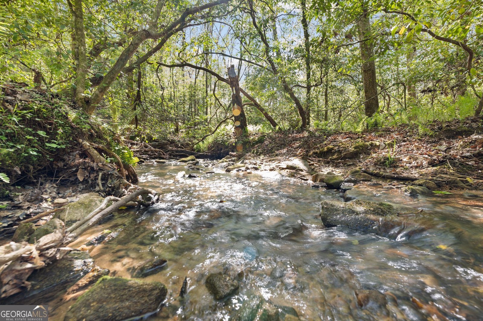 4541 Cavender Creek Road Dahlonega - 54