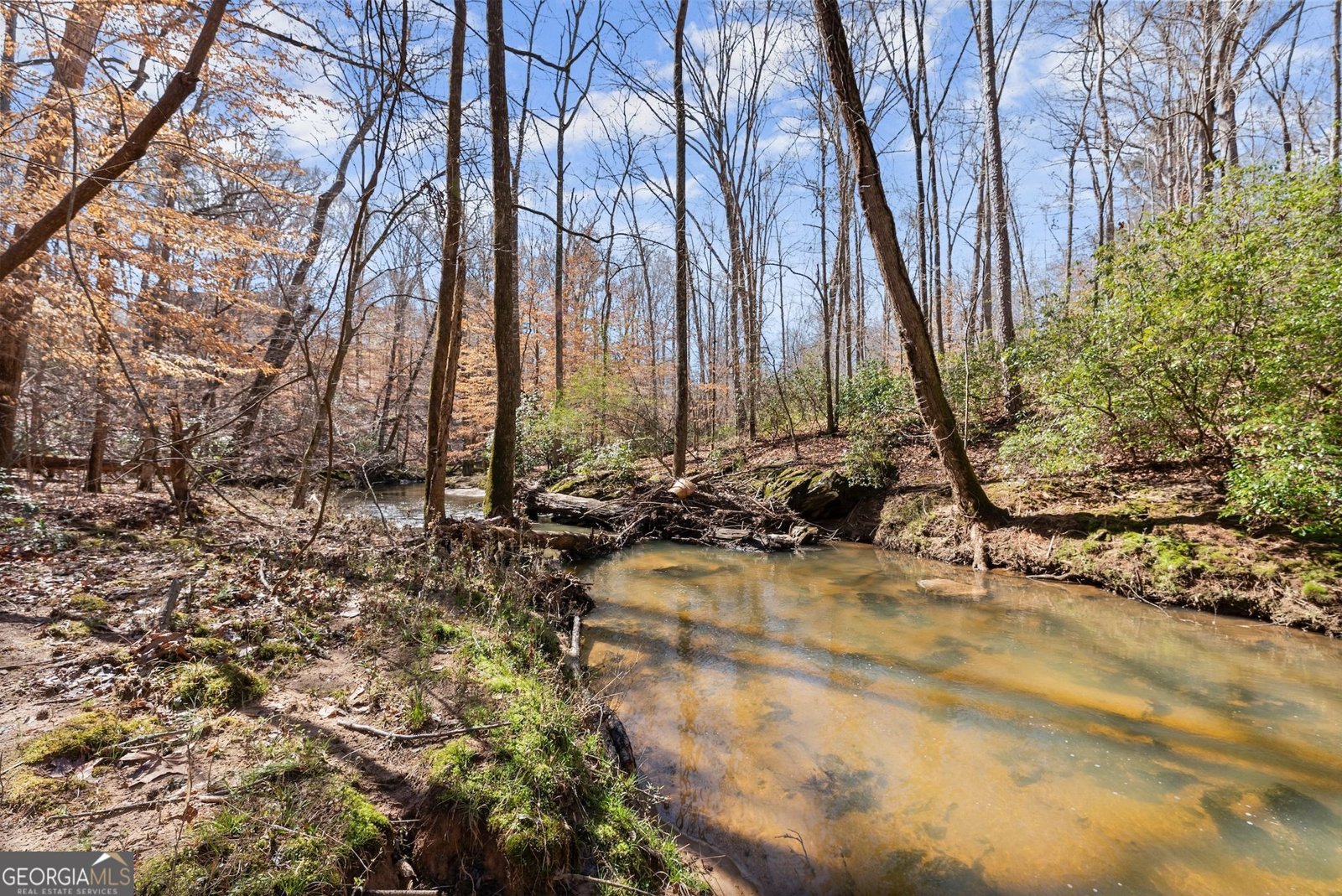 4541 Cavender Creek Road Dahlonega - 56