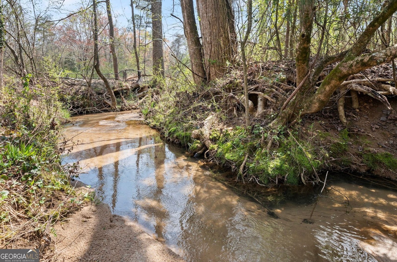 4541 Cavender Creek Road Dahlonega - 57
