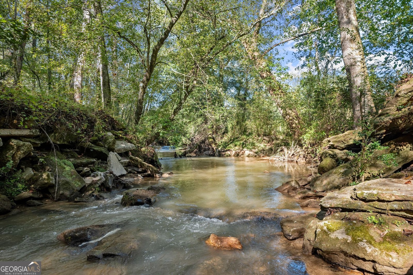 4541 Cavender Creek Road Dahlonega - 58