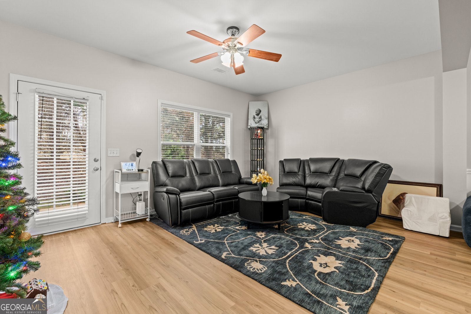 141 Mill Pond Xing Carrollton - 12