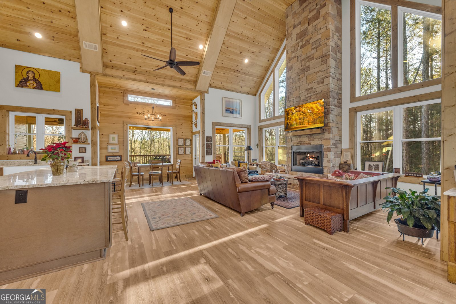 1019 Hornets Bridge Elberton - 6