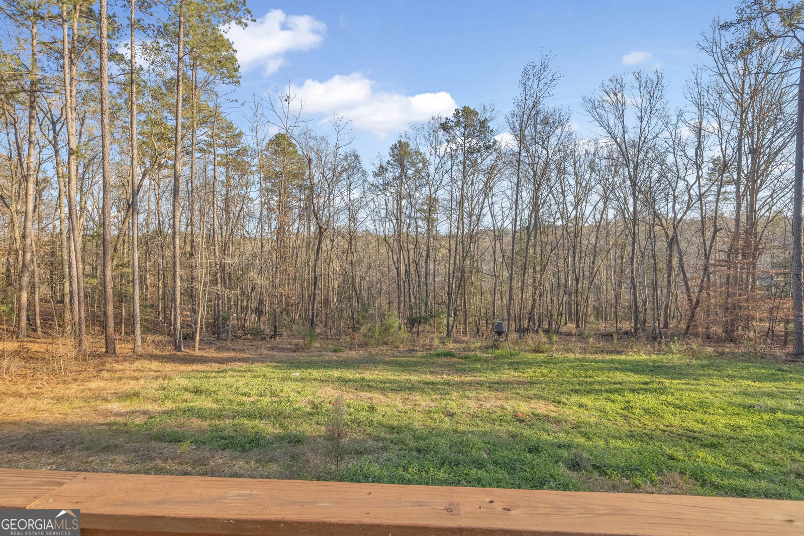 1019 Hornets Bridge Elberton - 68