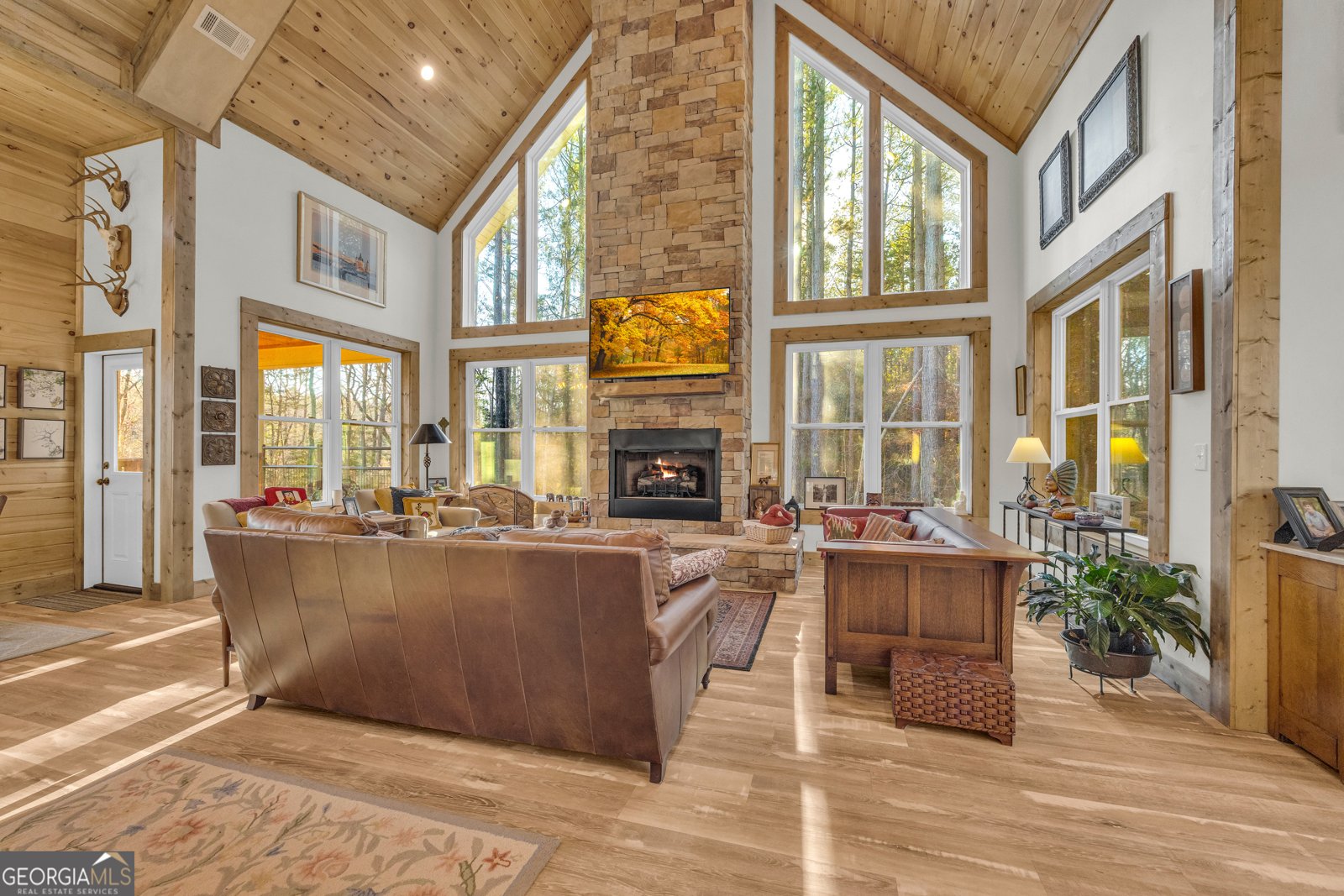 1019 Hornets Bridge Elberton - 7