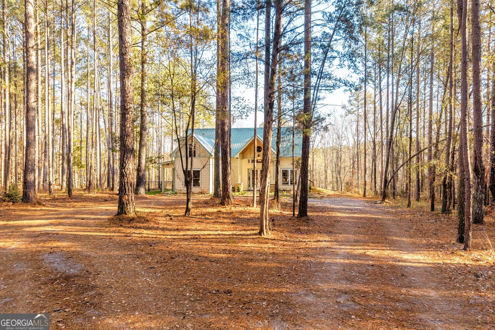 1019 Hornets Bridge Elberton - 76