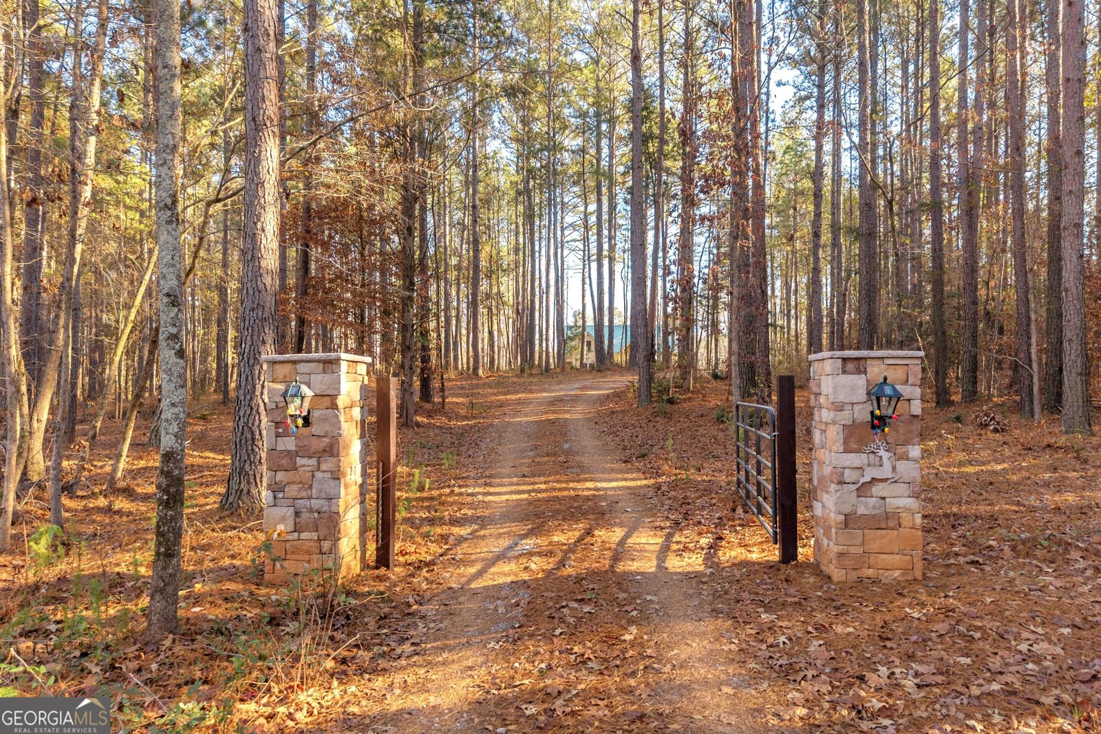 1019 Hornets Bridge Elberton - 77