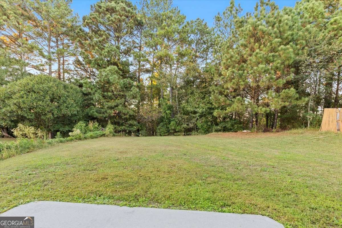 3498 Park Hill Circle Loganville - 48