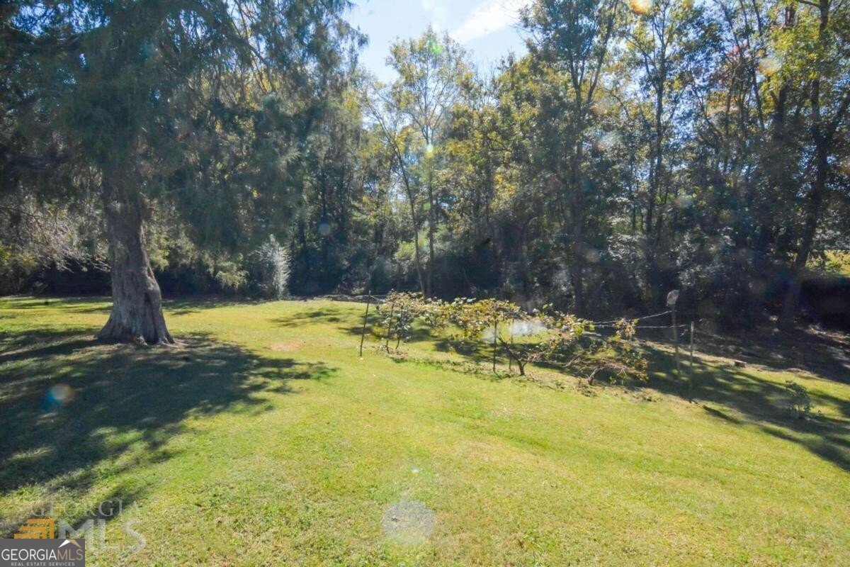 4579 Dogwood Valley Road Tunnel Hill - Photo 21